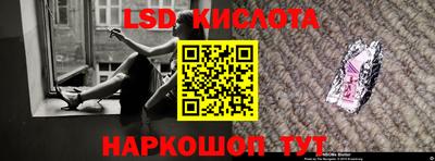 прущие грибы Малгобек