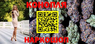 прущие грибы Малгобек