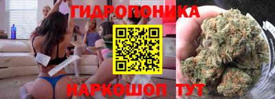 прущие грибы Малгобек