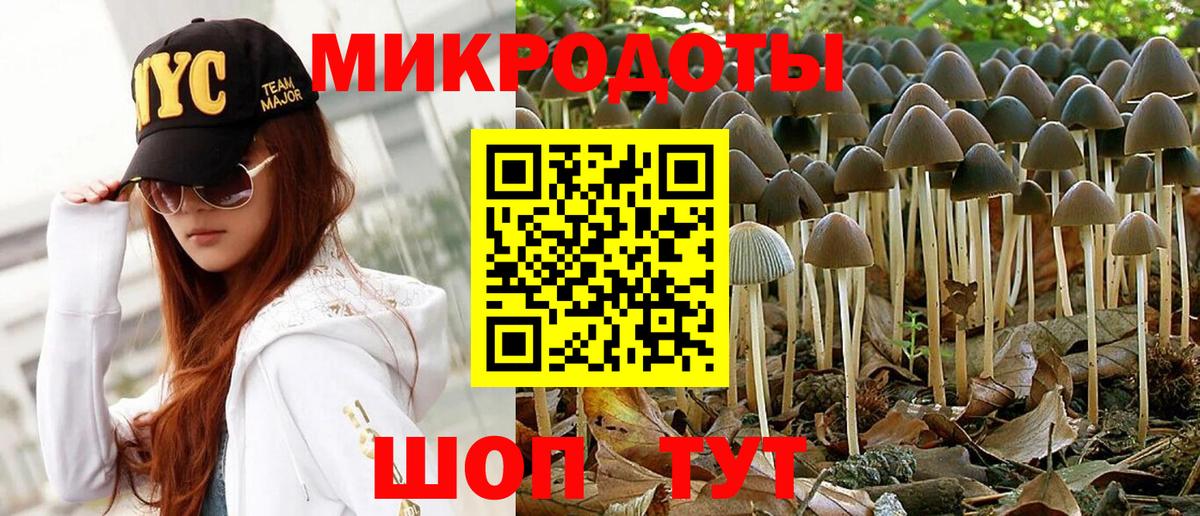 Галлюциногенные грибы Psilocybe Владикавказ