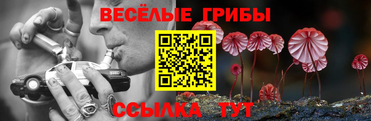 где можно купить наркотик  Псилоцибиновые грибы ЛСД  Вход с VPN  Владикавказ  Галлюциногенные грибы прущие грибы 